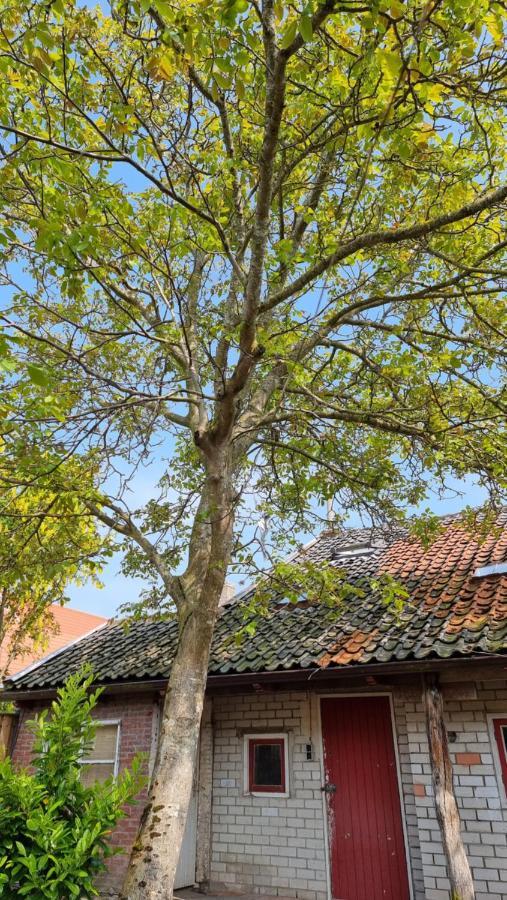 'T Bakuusje Hotel Kamperland Luaran gambar